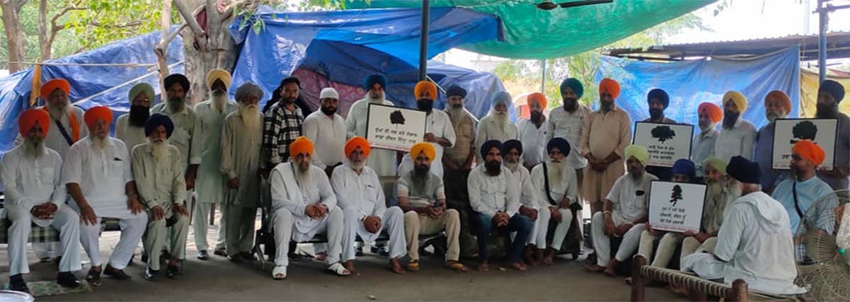 A camp was set up under the campaign to plant more trees
